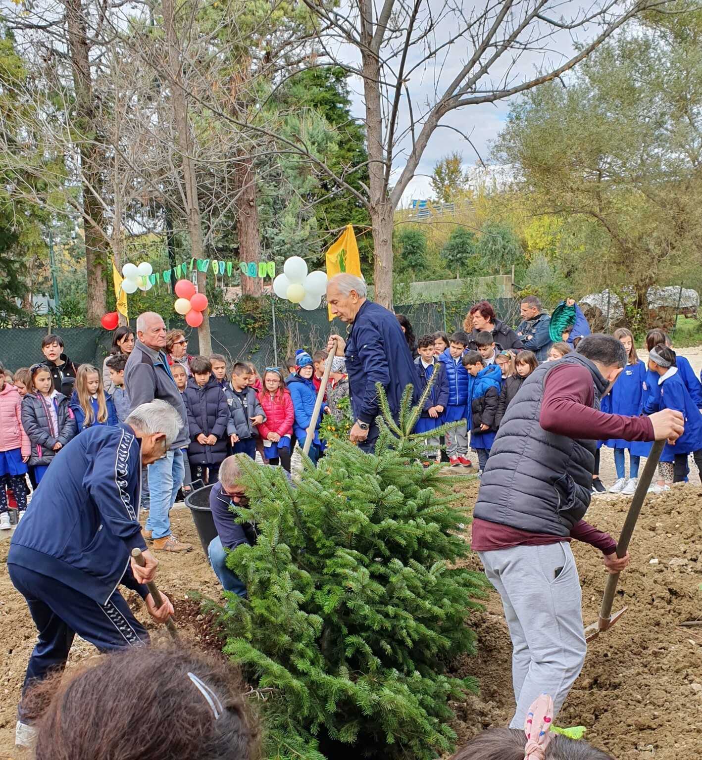 FOTO | Castellalto, Festa Dell’albero Nella Scuola Primaria Di ...